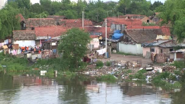 Dumping of garbage on riverside — Stock Video