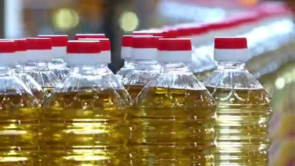 Aceite de girasol en botellas — Vídeos de Stock
