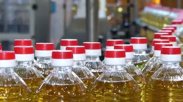 Подсолнечное масло в бутылках — стоковое видео
