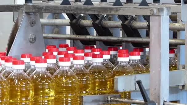 Slunečnicový olej v lahvích — Stock video