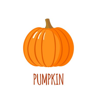 Beyaz arka plan üzerinde düz stil kabak simgesini