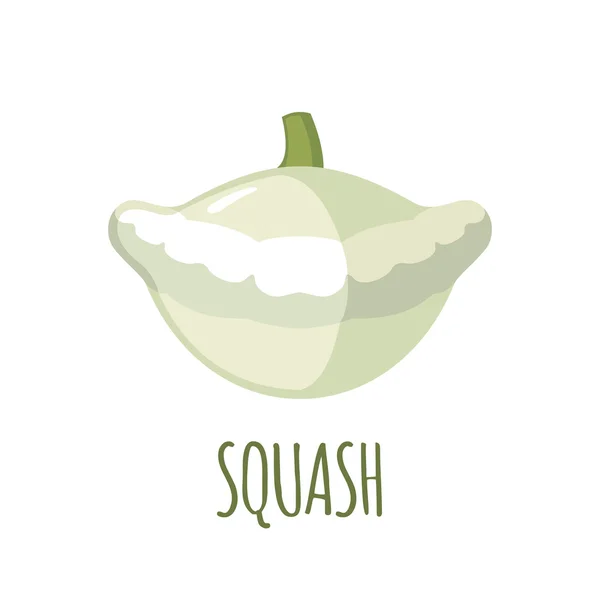 Squash-ikonen i platt stil på vit bakgrund — Stock vektor