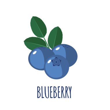 Beyaz arka planda düz tarzda yaban mersini simgesi