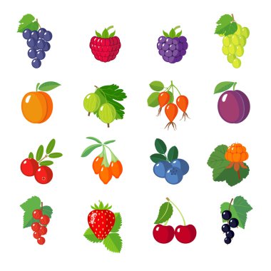 Set of flat berries.  clipart