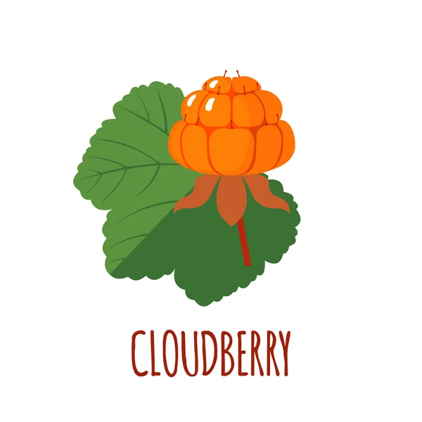 Cloudberry ícone em estilo plano no fundo branco —  Vetores de Stock