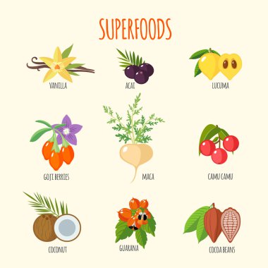 Superfoods düz Stil kümesi