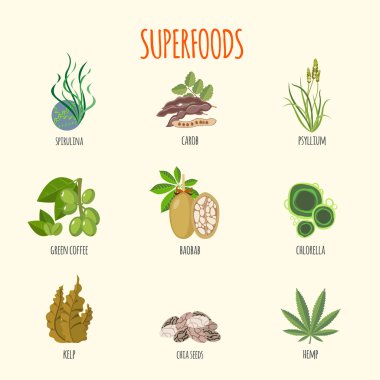 Superfoods düz Stil kümesi