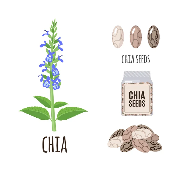 Graines de chia Superfood dans un style plat . — Image vectorielle