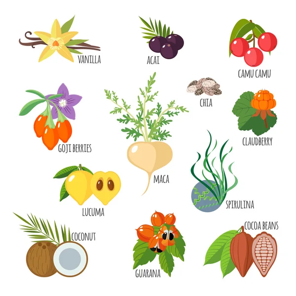 Superfoods in vlakke stijl — Stockvector