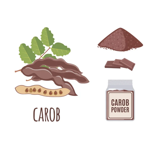 Ensemble de caroube Superfood dans un style plat . — Image vectorielle