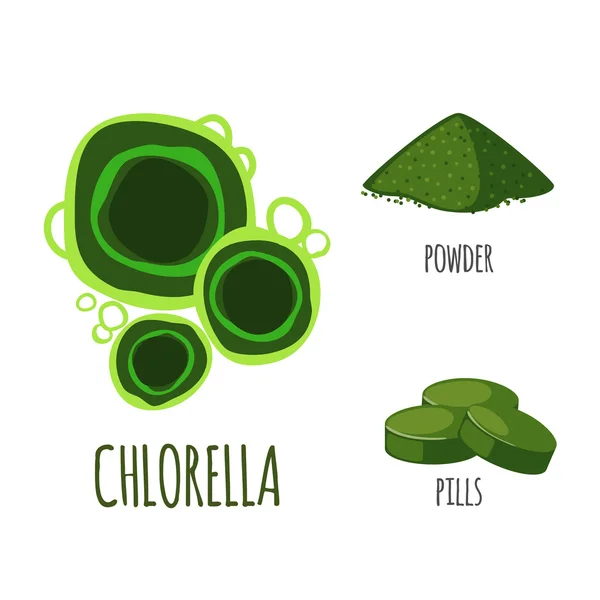 Superfood chlorella ditata dalam gaya datar . - Stok Vektor