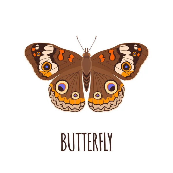 Realistischer Schmetterling im flachen Stil. — Stockvektor
