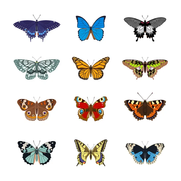 Conjunto de borboleta realistc —  Vetores de Stock