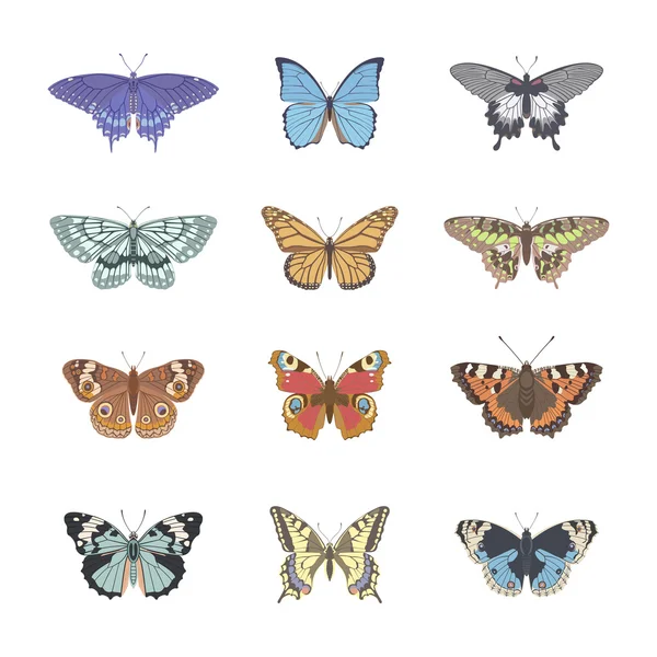 Conjunto de mariposa de ternura realista — Archivo Imágenes Vectoriales