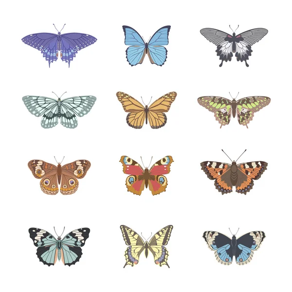 Conjunto de mariposa de ternura realista — Vector de stock