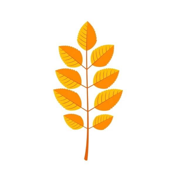 Піктограма осіннього листя у плоскому стилі . — стоковий вектор