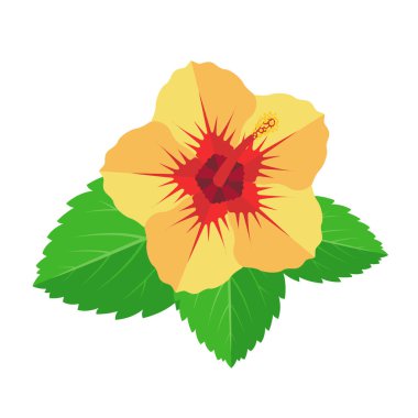 Hibiscus çiçek simgesi beyaz arkaplanda izole edilmiş düz bir şekilde. Ayurvedic tıbbi bitki. Tropik egzotik çiçek. Vektör illüstrasyonu.