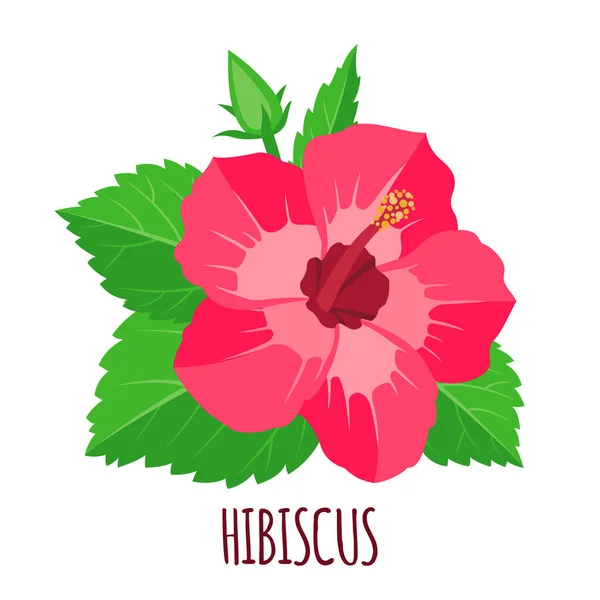 Εικονίδιο Λουλούδι Hibiscus Επίπεδη Στυλ Που Απομονώνονται Λευκό Φόντο Αγιουρβεδικό — Διανυσματικό Αρχείο