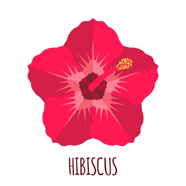Hibiscus Blomma Ikon Platt Stil Isolerad Vit Bakgrund Ayurvedisk Medicinalväxt — Stock vektor