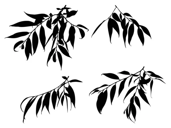 Silhouette Twigs Leaves Isolated White Background Set Black Branches Vector — Stock Vector