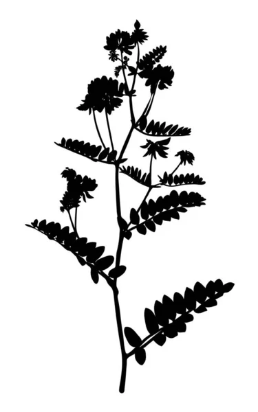 Silhouette Wildflower Isolato Sfondo Bianco Fiore Prato Illustrazione Vettoriale — Vettoriale Stock