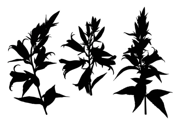 Σύνολο Από Σιλουέτες Λουλουδιών Bluebell Που Απομονώνονται Λευκό Φόντο Συλλογή — Διανυσματικό Αρχείο
