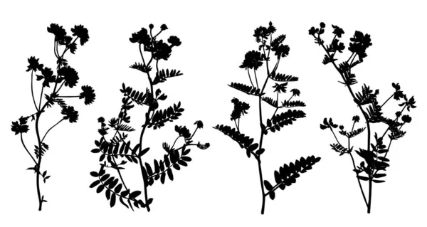 Σύνολο Από Σιλουέτες Αγριολούλουδων Που Απομονώνονται Λευκό Φόντο Συλλογή Λουλουδιών — Διανυσματικό Αρχείο