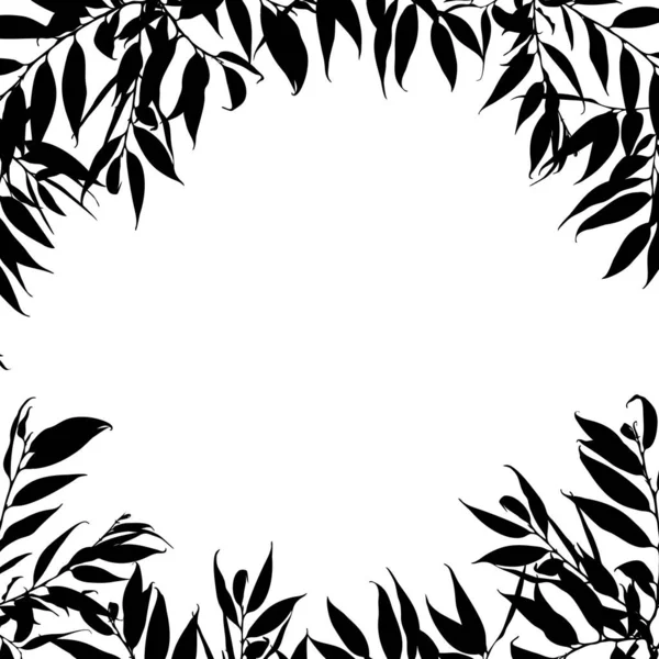 Black White Frame Leaves Isolated White Background Space Text Design — Stock Vector