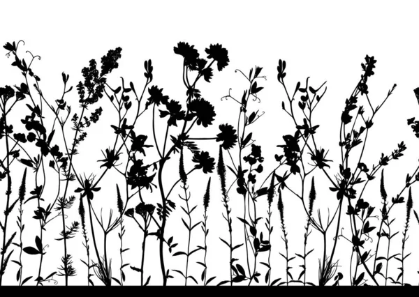 Patrón Floral Horizontal Sin Costuras Aislado Blanco Fondo Blanco Negro — Archivo Imágenes Vectoriales