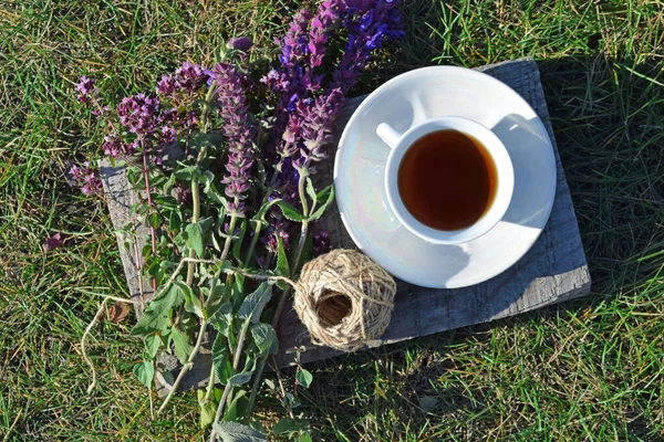 Geneeskrachtige Kruiden Salie Oregano Gezonde Thee Natuur — Stockfoto