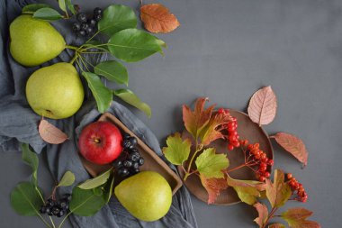 Gri arka planda olgun meyve ve böğürtlen. Sağlıklı yiyecek..