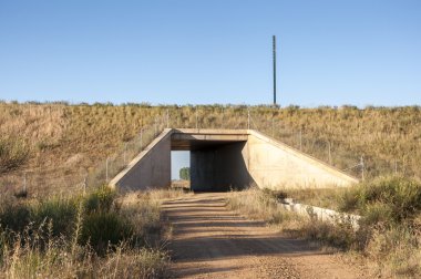 Tünelde Leon eyaletinde bir yüksek hızlı tren