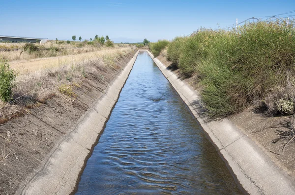 Irrigation ditch in the plain of the River Esla — Stock Photo, Image