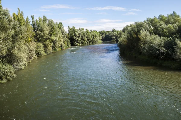 Vistas del río Esla — Foto de Stock