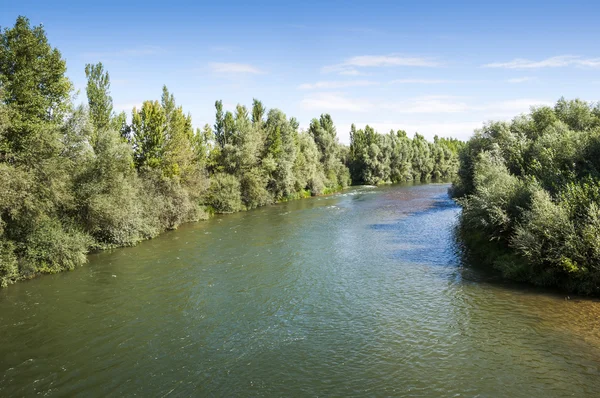 Vistas do rio Esla — Fotografia de Stock