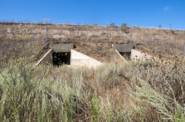 Yaban hayatı pasajda bir yüksek hızlı tren