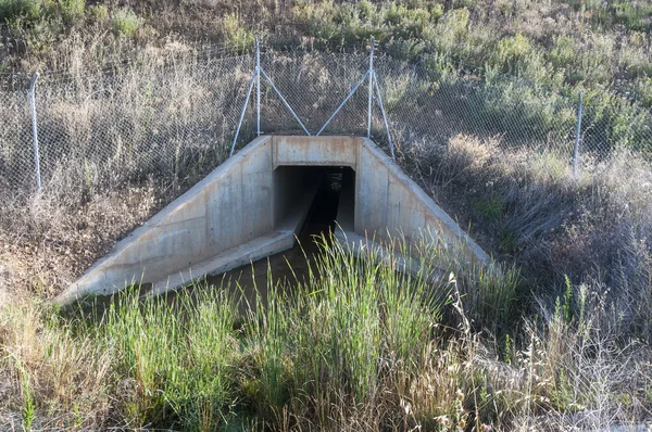 Yaban hayatı pasajda bir yüksek hızlı tren
