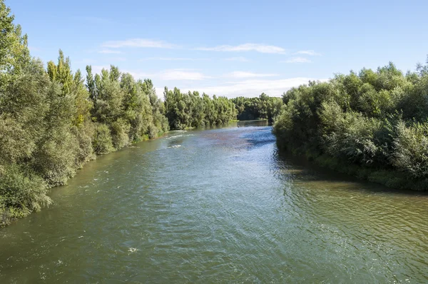 Vista sul fiume Esla — Foto Stock