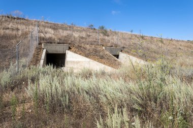 Yaban hayatı pasajda bir yüksek hızlı tren