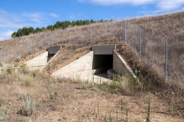 Yaban hayatı pasajda bir yüksek hızlı tren