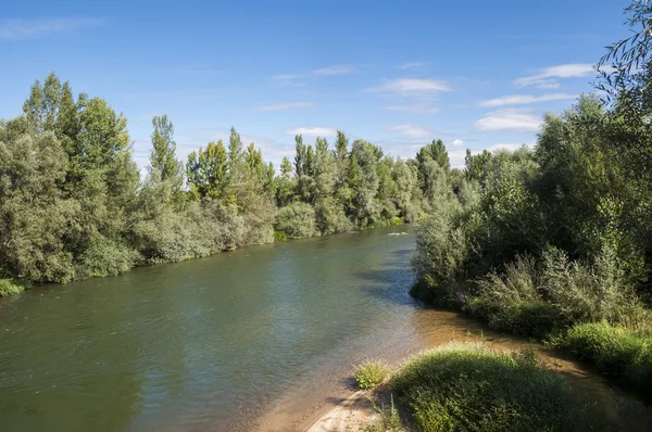 Uitzicht op de rivier Esla — Stockfoto