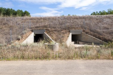 Yaban hayatı pasajda bir yüksek hızlı tren