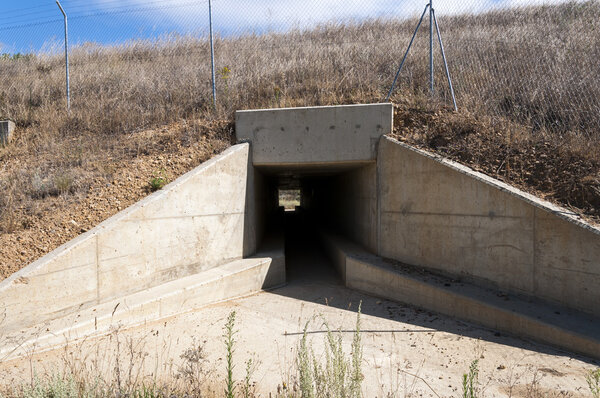 Wildlife passage in a High-Speed Railway