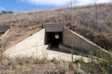 Yaban hayatı pasajda bir yüksek hızlı tren 