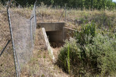 Yaban hayatı pasajda bir yüksek hızlı tren