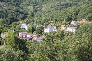 Nocedo de Gordon görünümlerini