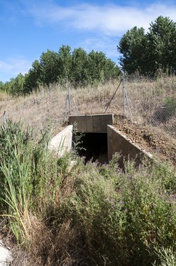 Yaban hayatı pasajda bir yüksek hızlı tren