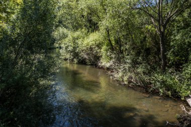 Nehir Bernesga görünümlerini