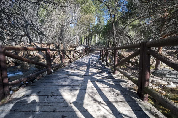 Ponte di legno sul fiume Manzanares Immagine Stock