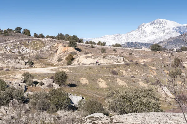 Mountainbikers a Guadarrama Montagne — Foto Stock